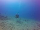 Hawaii Scuba divng 18