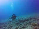 Hawaii Scuba divng 19