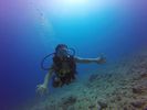 Hawaii Scuba divng 22