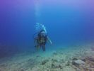 Hawaii Scuba divng 23