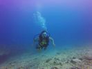 Hawaii Scuba divng 24