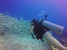 Hawaii Scuba divng 31