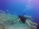 Hawaii Scuba divng 32