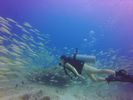 Hawaii Scuba divng 33