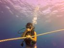 Hawaii Scuba divng 53