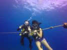 Hawaii Scuba divng 54