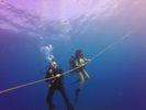 Hawaii Scuba divng 56