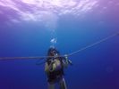 Hawaii Scuba divng 58