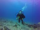 Hawaii Scuba divng 63