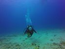 Hawaii Scuba divng 64