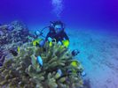 Hawaii Scuba divng 69