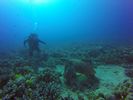 Hawaii Scuba divng 74