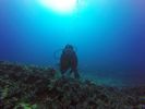 Hawaii Scuba divng 81