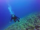 Hawaii Scuba divng 85