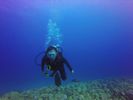 Hawaii Scuba divng 86