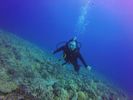 Hawaii Scuba divng 87