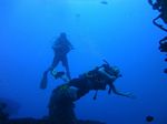 Hawaii Scuba divng 18