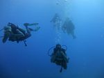 Hawaii Scuba divng 27