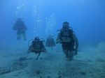 Hawaii Scuba divng 29