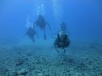 Hawaii Scuba divng 30