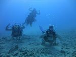 Hawaii Scuba divng 31