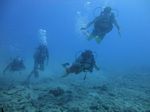 Hawaii Scuba divng 35