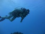 Hawaii Scuba divng 40