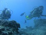 Hawaii Scuba divng 42