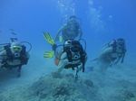 Hawaii Scuba divng 43