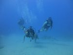 Hawaii Scuba divng 44