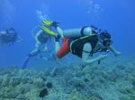 Hawaii Scuba divng 45