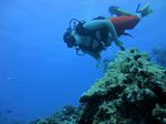 Hawaii Scuba divng 47