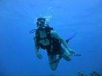 Hawaii Scuba divng 48