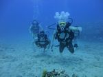 Hawaii Scuba divng 49