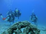 Hawaii Scuba divng 51