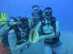 Hawaii Scuba divng 52