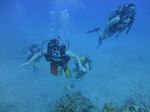 Hawaii Scuba divng 54