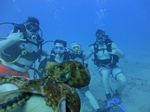 Hawaii Scuba divng 63