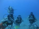 Hawaii Scuba divng 66