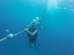 Hawaii Scuba divng 69