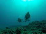 Hawaii Scuba divng 76