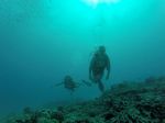 Hawaii Scuba divng 77