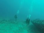 Hawaii Scuba divng 82