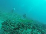 Hawaii Scuba divng 83