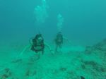 Hawaii Scuba divng 86