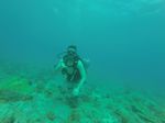 Hawaii Scuba divng 88