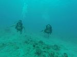 Hawaii Scuba divng 90