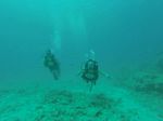 Hawaii Scuba divng 91