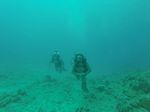 Hawaii Scuba divng 92