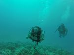 Hawaii Scuba divng 93